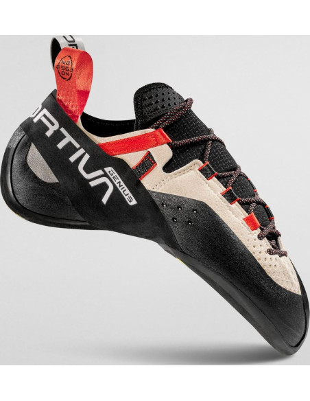 PUNTERA SCALE SPARK  GENIUS RAMSON