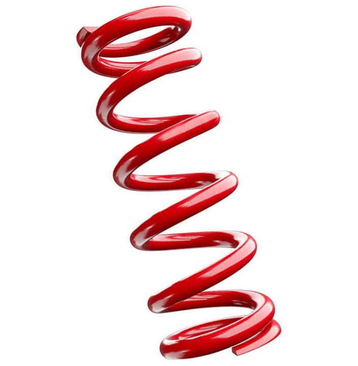 RECAMBIOS DE MUELLE 174MM