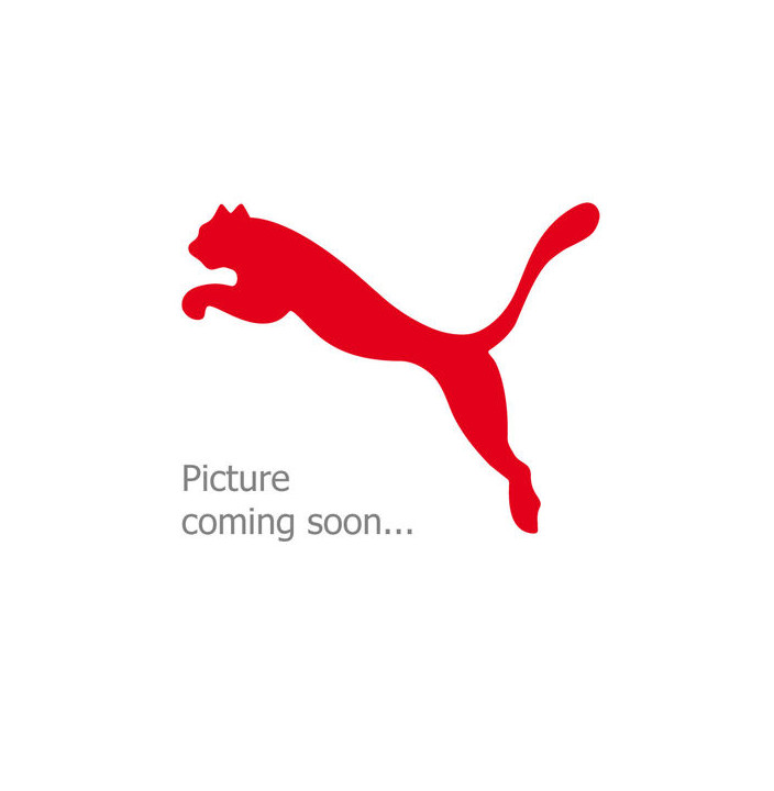 COMPUTER MOUNT STEM RR IC PARA GARMIN