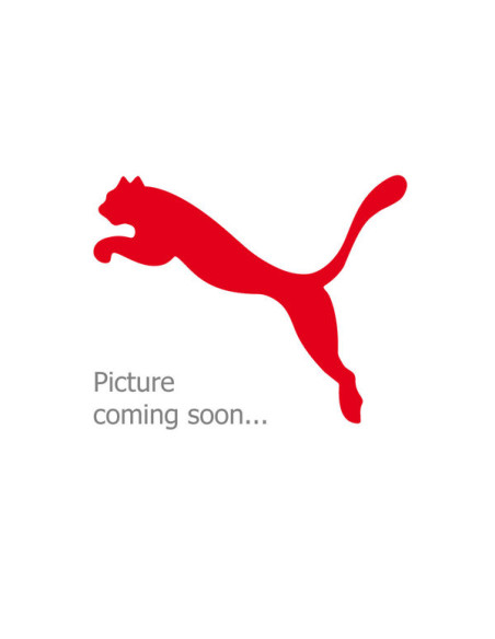 COMPUTER MOUNT STEM RR IC PARA GARMIN