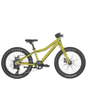 BICICLETA ROXTER 20 GREEN