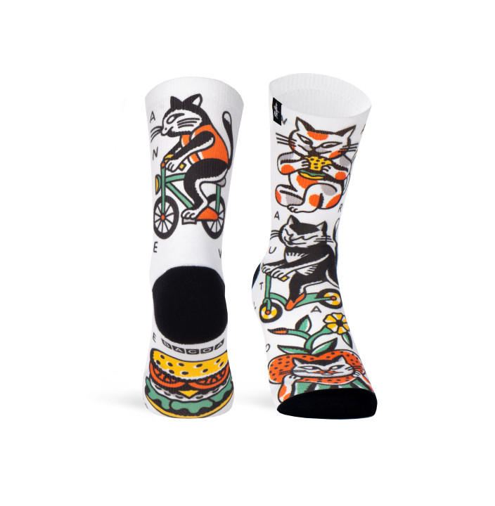 BACOA CATS
