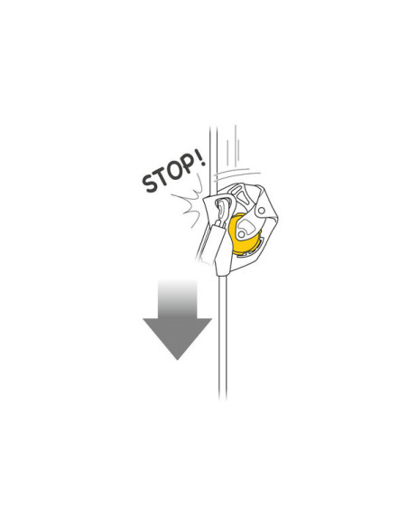 ANTICHUTE MOBILE ASAP