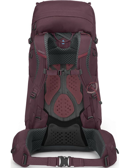 KYTE 48 ELDERBERRY PURPLE WM L