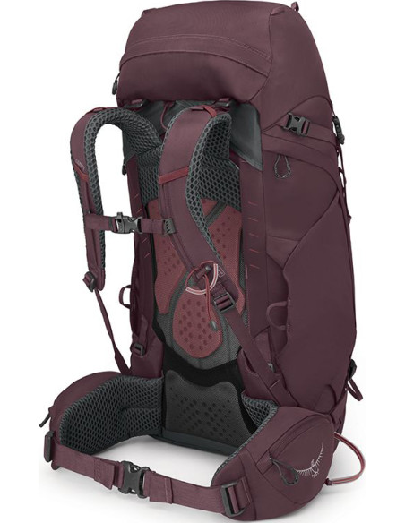 KYTE 48 ELDERBERRY PURPLE WM L