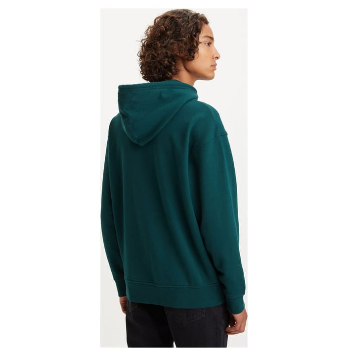 T2 RELAXED GRAPHIC HOODIE