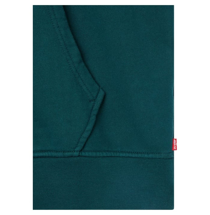 T2 RELAXED GRAPHIC HOODIE