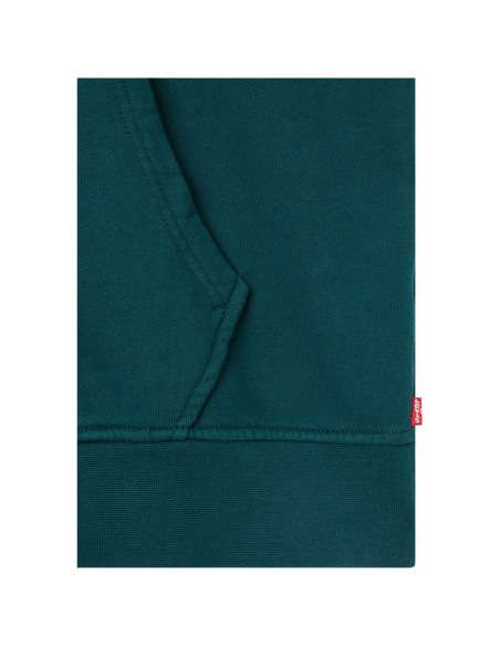 T2 RELAXED GRAPHIC HOODIE