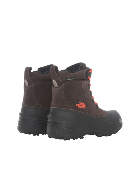 Y CHILKAT V LACE WP Y CHILKAT V LACE WP