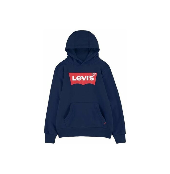 LVB-BATWING SCREENPRINT HOODIE