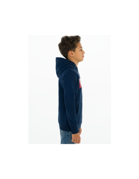 LVB-BATWING SCREENPRINT HOODIE LVB-BATWING SCREENPRINT HOODIE