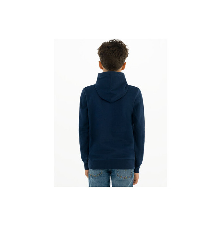 LVB-BATWING SCREENPRINT HOODIE