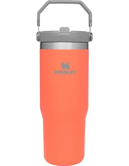 BOTE PAJITA ABATIBLE CLASSIC 0.89L