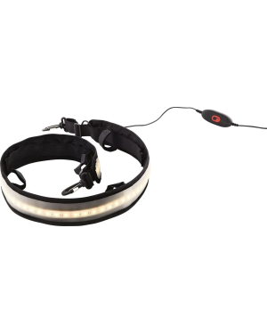 CORVUS 600