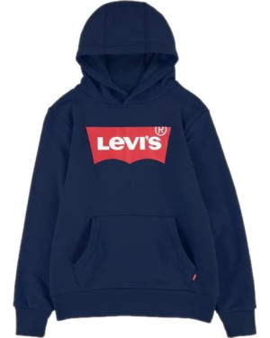 LVB-BATWING SCREENPRINT HOODIE