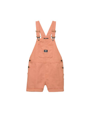 GROUND WORK SHORTALL