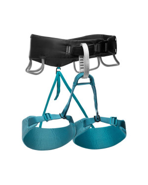 W MOMENTUM HARNESS