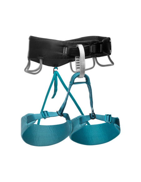 W MOMENTUM HARNESS