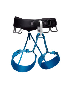M MOMENTUM HARNESS