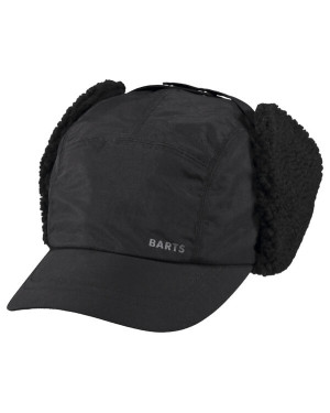 BOISE CAP