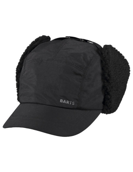 BOISE CAP
