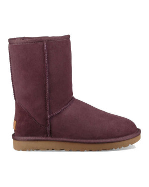 W CLASSIC SHORT II