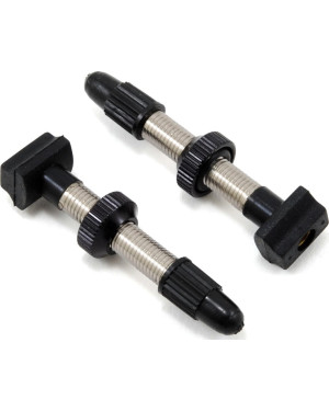 VALVE FOR TUBELESS TIRE