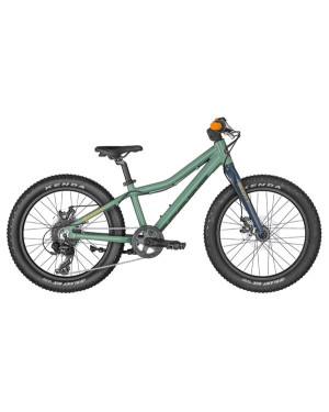 BICICLETA ROXTER 20 GREEN