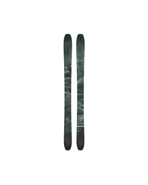 BENT CHETLER 100