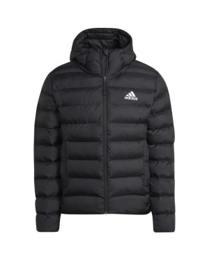 INTERSPORT SDP
