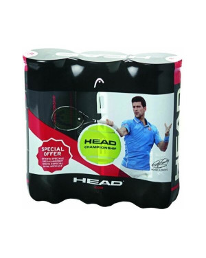 3X3B HEAD CHAMPIONSHIP