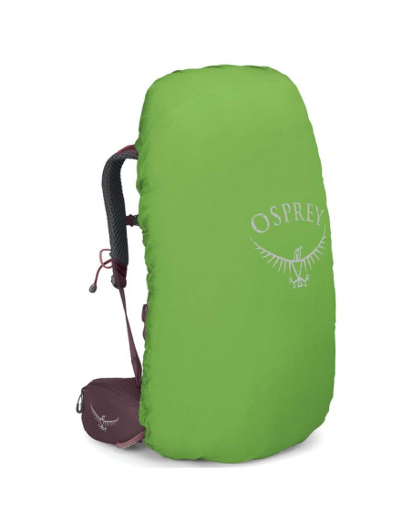 KYTE 48 ELDERBERRY PURPLE WM L