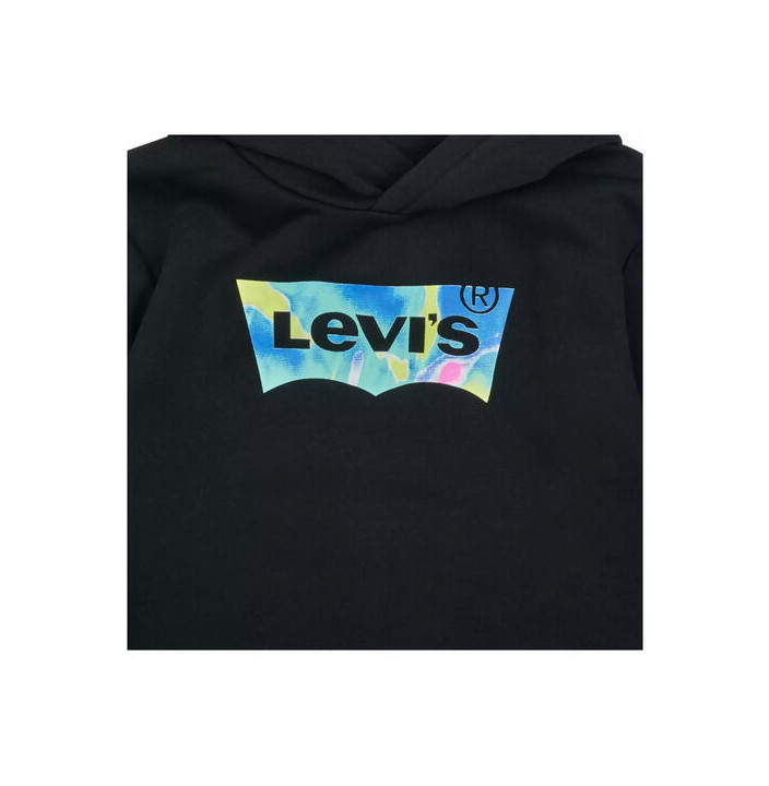 LVB BATWING FILL HOODIE