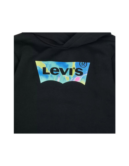 LVB BATWING FILL HOODIE