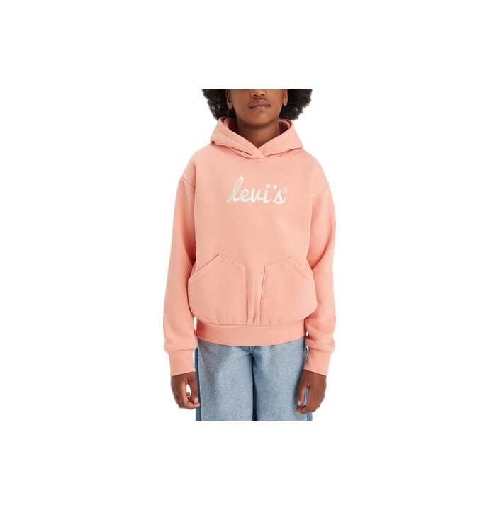 LVG POSTER LOGO HOODIE