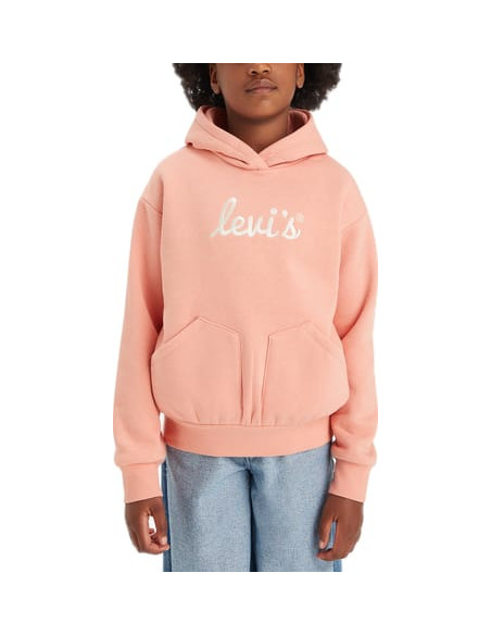 LVG POSTER LOGO HOODIE
