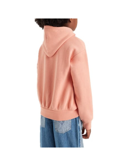 LVG POSTER LOGO HOODIE