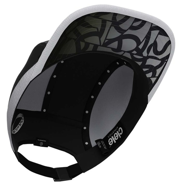 GOCAP - CENTURY FD