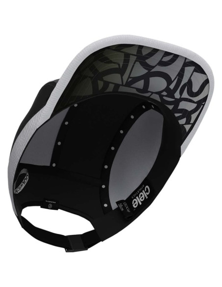 GOCAP - CENTURY FD GOCAP - CENTURY FD
