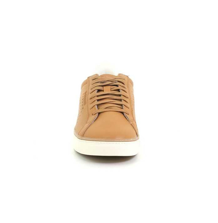 COURTACE PREMIUM